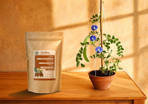 SatRas plant growth promoter pouch beside an aparajita butterfly pea vine with blue flowers in a terracotta pot