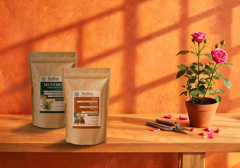 SatRas mustard cake fertiliser and plant growth promoter kraft pouches beside a potted pink rose and pruning secateurs on a potting bench