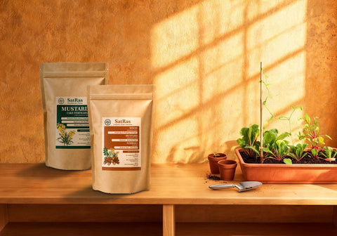 SatRas mustard cake fertiliser and plant growth promoter kraft pouches beside a trough of young winter vegetables on a wooden potting bench