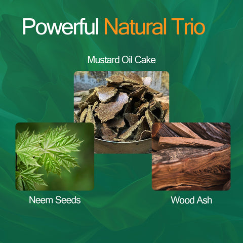 SatRas Plant Growth Promoter (1 Kg)