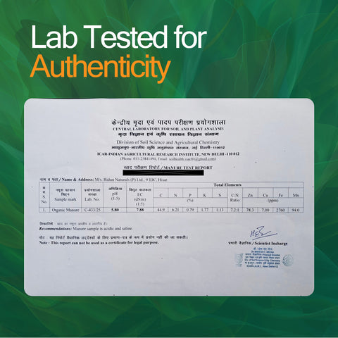 SatRas Plant Growth Promoter (1 Kg)