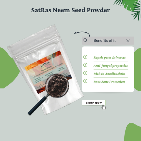 SatRas Neem Seed Powder (900g)