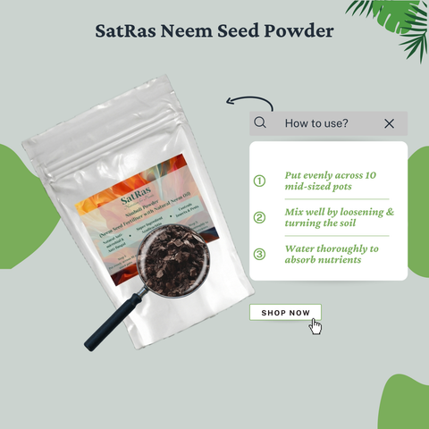 SatRas Neem Seed Powder (900g)